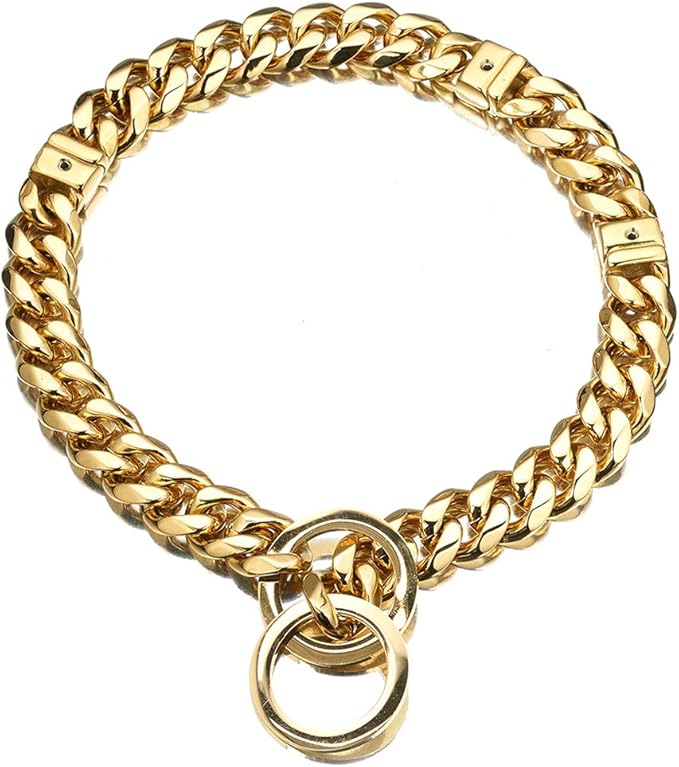 Abaxaca Gold Dog Collar Adjustable Stianless Steel 15mm