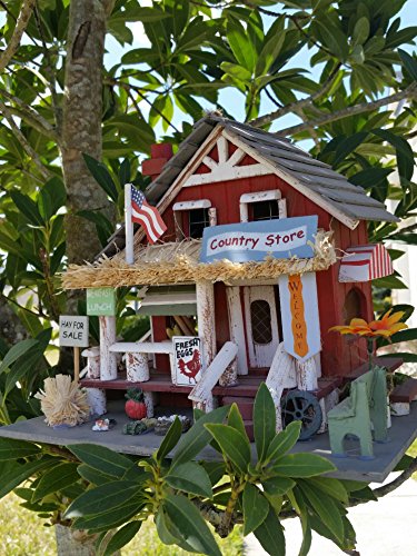Smart Living Company 10014258 Country Store Birdhouse #TOP2
