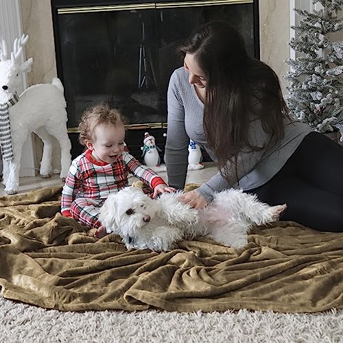 Bedsure Fleece Blanket Throw Size Taupe Lightweight Super Soft Cozy Beige Bed Blanket #TOP6