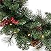 National Tree Company 24 in Pre-Lit Crestwood Spruce Artificial Christmas Wreath, Christmas Decoration with Glitter, Pinecones, Red Berries, 50 Clear LED Lights, 160 Tips, Timer, Green