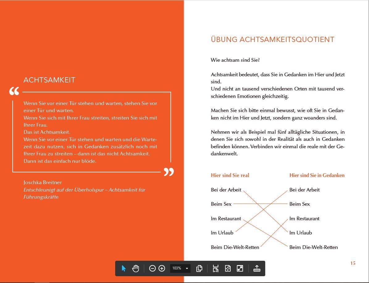 Achtsam morden - Das Übungsbuch nach der Joschka-Breitner-Methode
