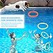 Lewtemi 30 Pcs Diving Rings Rainbow Pool Rings Bulk for Kids Swimming Pool Diving Toy Easy to Find & Grab Suitable for Kids & Adults, 6 Colors
