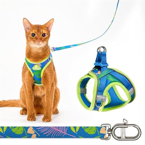 Cat Harness and Leash Set