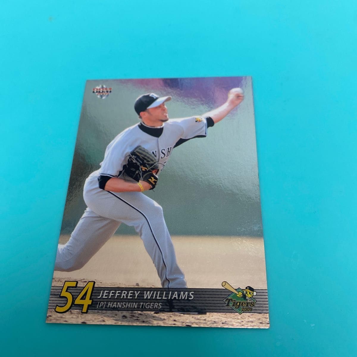 Amazon.co.jp: 阪神タイガース ジェフ ウィリアムス選手のプロ野球