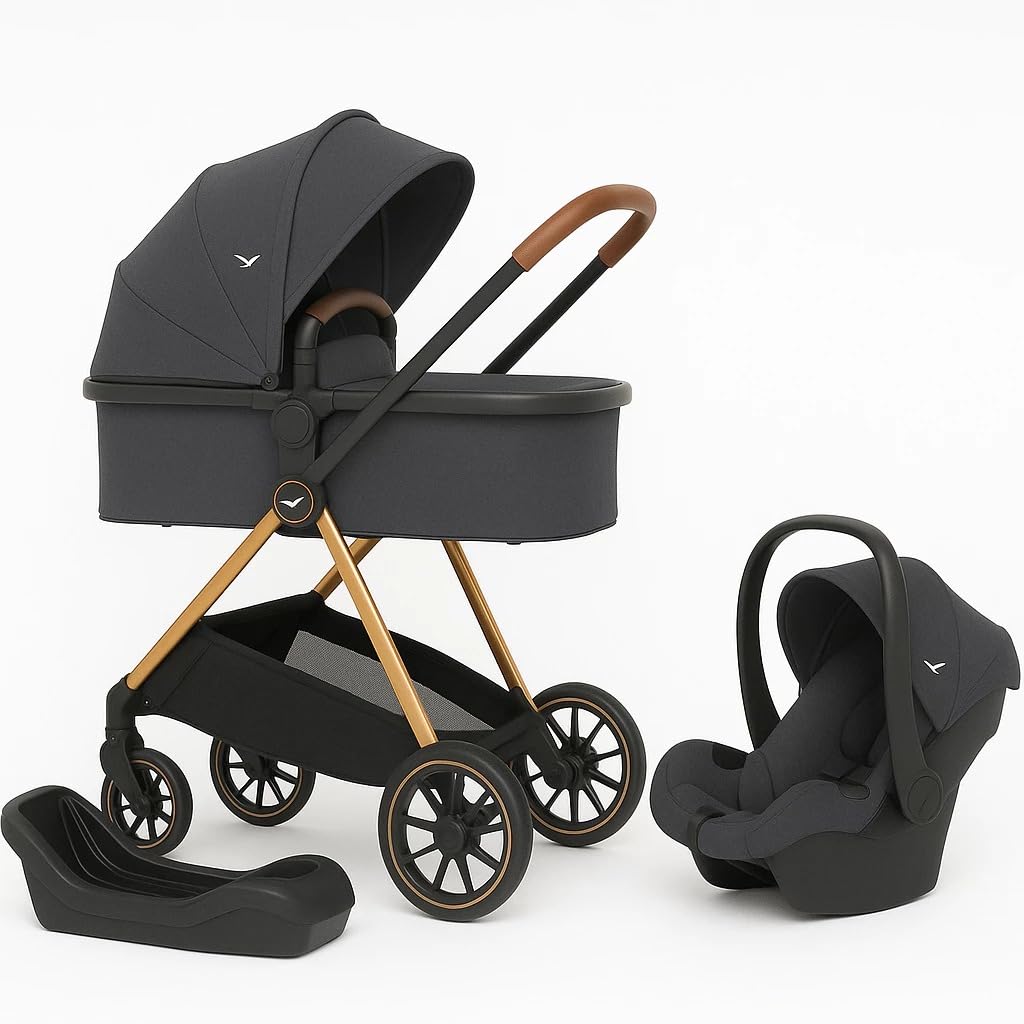 Carrinho de Bebê Florence Com Bebê Conforto e Base Veicular Preto Estrutura Golden Reclinável Até 15Kg
