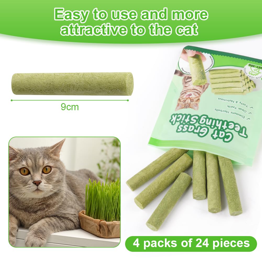 OSDUE Cat Grass Teething Stick, 24Pcs Dental Chew Sticks for Cats Natural Cat Grass Sticks Molar Rod - Image 2