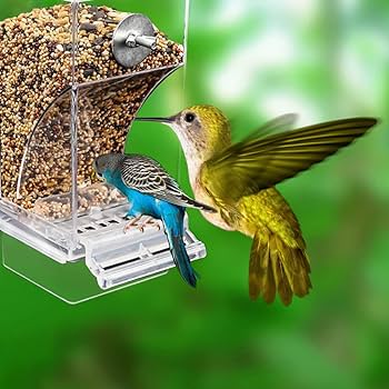 Pull-out Transparent Parrot Feeder, 18.5 * 14.5 * 14cm Parrot Feeders