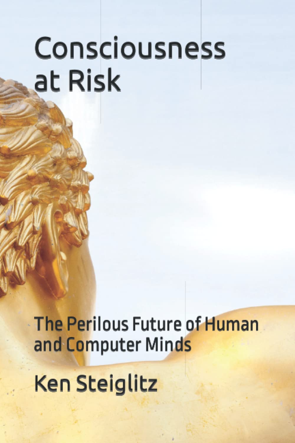 Consciousness at Risk: The Perilous Future of Human and Computer Minds