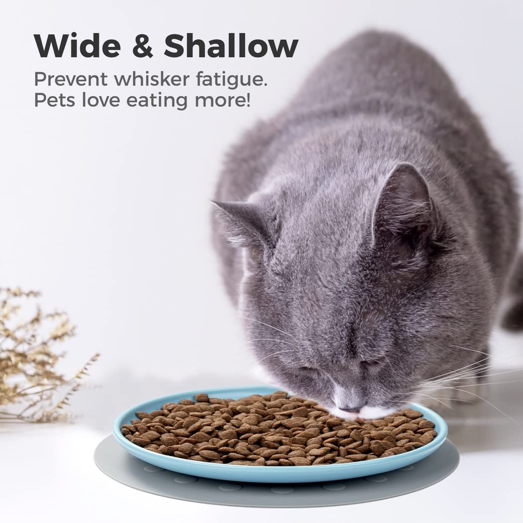 Lot de 3 gamelles en céramique pour Chat, Assiettes Larges et Peu Profondes pour Chats, Chatons et Chiots, avec 3 Tapis antidérapants, pour réduire la Fatigue des Moustaches, lavables au