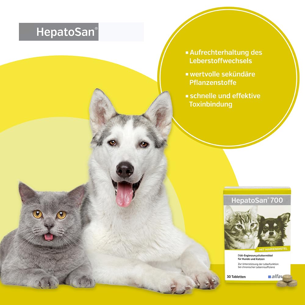 PHARMACINQUEPET Hepatic5 - Leber & Verdauungs Unterstützung Für Hunde & Katzen