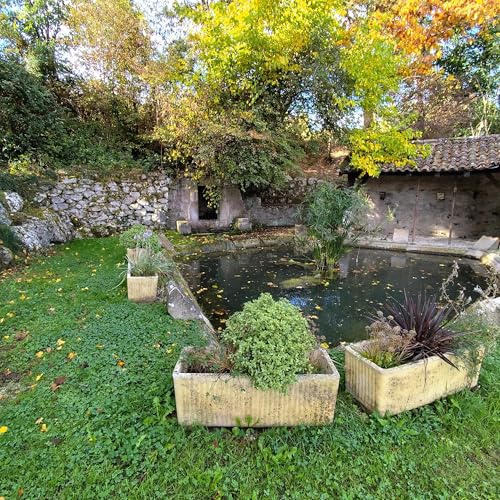 『Observation en campagne Agenaise』のカバーアート