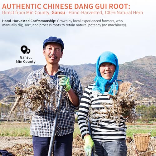Image of Baihuatang Natural Angelica Root for Tea 5.29oz /150g Dang Gui Tea Chinese DriedAngelica Sinensis Dong Quai Natural Herbal Tea, 当归 當歸