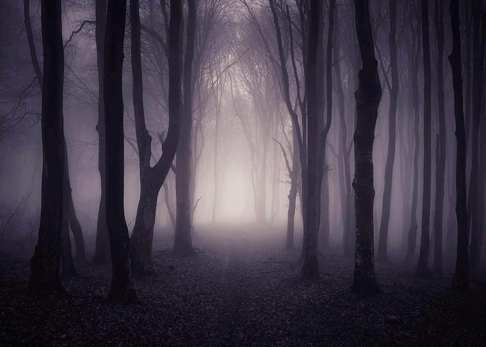 INRUI Halloween nebbioso foresta scura fotografia sfondo magia strega mago stregone fantasma a tema Banner Gloomy Grove mistero vampiro decorazioni sfondo (2,1 x 1,5 m)