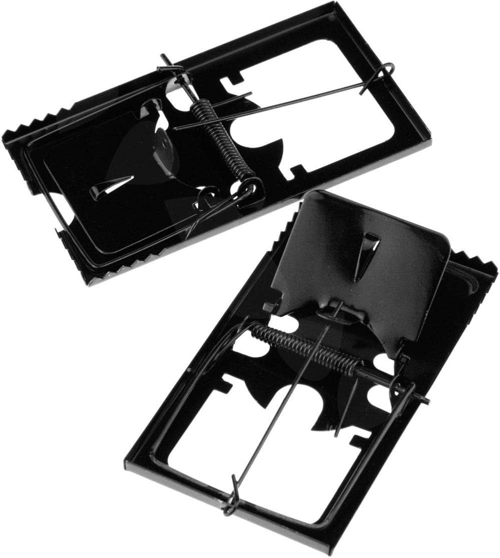 Heavy Duty Snap Mouse Trap, Set of 2