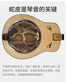 大三弦 蛇皮胴 ケース付き 三弦 中国楽器 大三弦 蛇皮胴 ケース