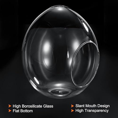 Miniatura 3 de PATIKIL Globe Terrarium - Macetero para plantas de aire, 6.7 pulgadas con forma de huevo de borosilicato, decoración de mesa de vidrio de