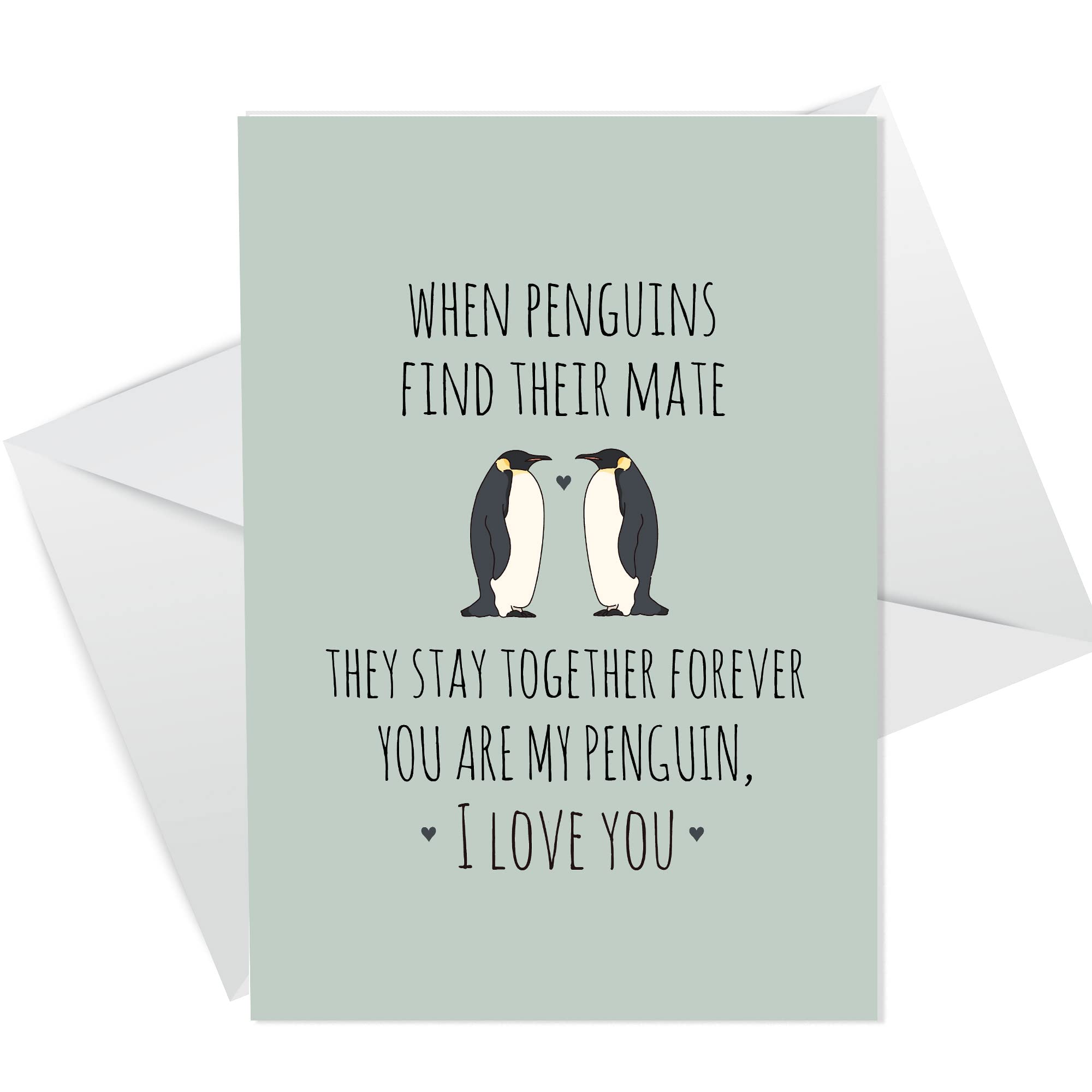 Valentine Day Card For Him Her Penguin Card Husband Wife Girlfriend Boyfriend Card