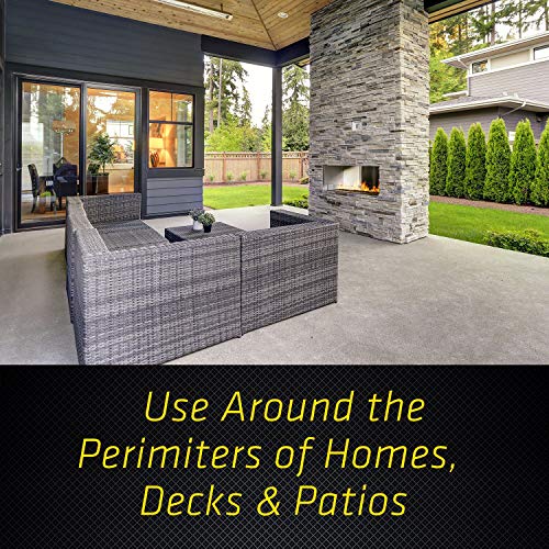 Black Flag Flea And Tick Killer Concentrate Yard Treatment, 32 Ounces, Ready To Spray, Quickflip Hose End Sprayer #TOP7