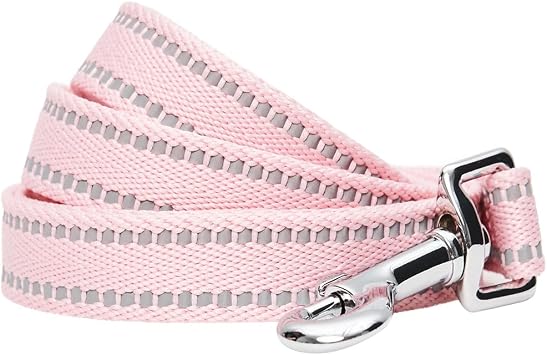 Blueberry Pet Essentials Matching Dog Collar & Leash Set | Pastel Reflective Adjustable Collar with 4 ft Lead for Large Dogs, Baby Pink