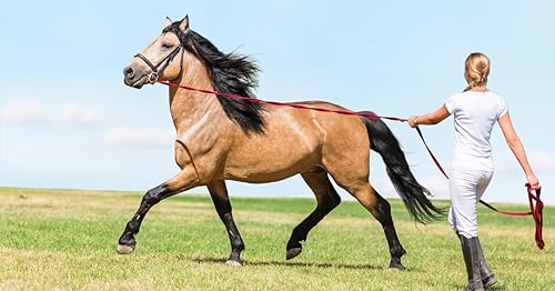 Vista 41 de Southwestern Equine Línea de estocada de tela plana de algodón de 35 pies con broche de perno y tope de goma (35 pies, zafiro)