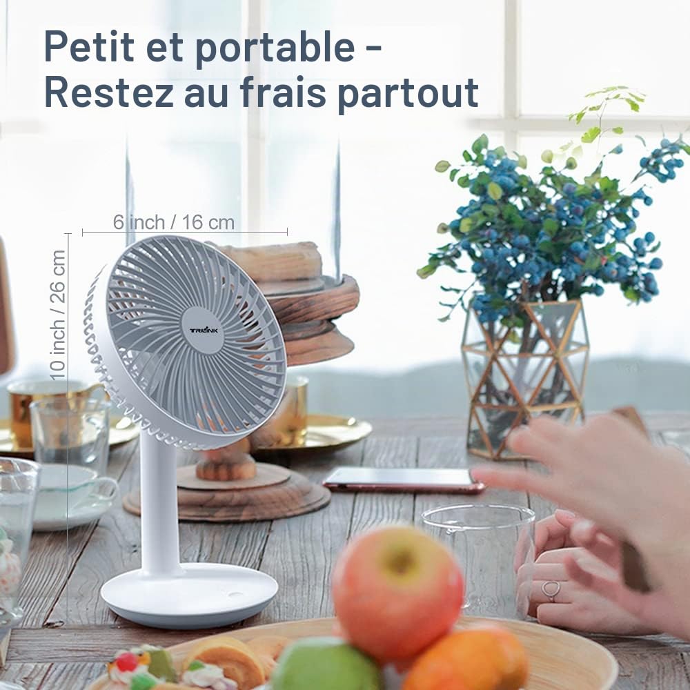 Mini Ventilateur Bureau, Ventilateur USB Rechargeable à 4000 Mah Batterie - 4 Vitesses, 16cm Petit Ventilateur De Table Silencieux , RéGlable 50°, portable Personnel Fan Pour Bureau, Chambre, Maison