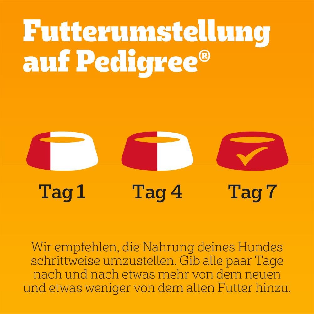 PEDIGREE Junior Multipack Gemischte Selektion in Gelee Hundenassfutter im Portionsbeutel für junge Hunde 4 Varietäten 84 x 100g