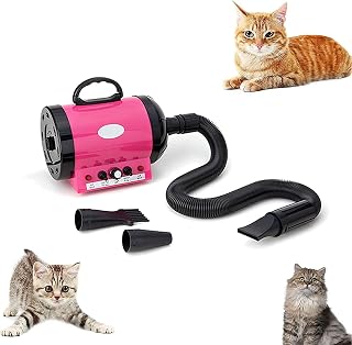 Secador de pelos para gatos 2200 W, secadores de pelos de animais de estimação 60 Db, secador de pelos de animais com velocidade de vento de até 65 m/s, 3 tipos de cabeça de sopro para cães grandes, médios e pequenos