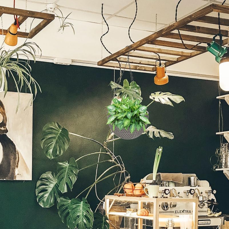 Miniatura 6 de Maceta de pared para decoración al aire libre, macetas colgantes para interiores, 2 piezas, maceta para plantas, cesta de plantas, alambre