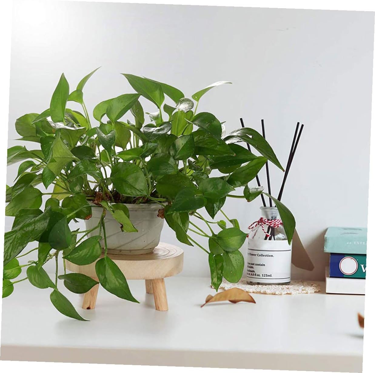 VICASKY 2pcs Wooden Flowerpot Holder Plant Stand with Round Design Solid Wood Indoor Plant Pot Riser for Home Garden Kitchen Decor Smooth Polished Surface Prevents Floor Damage