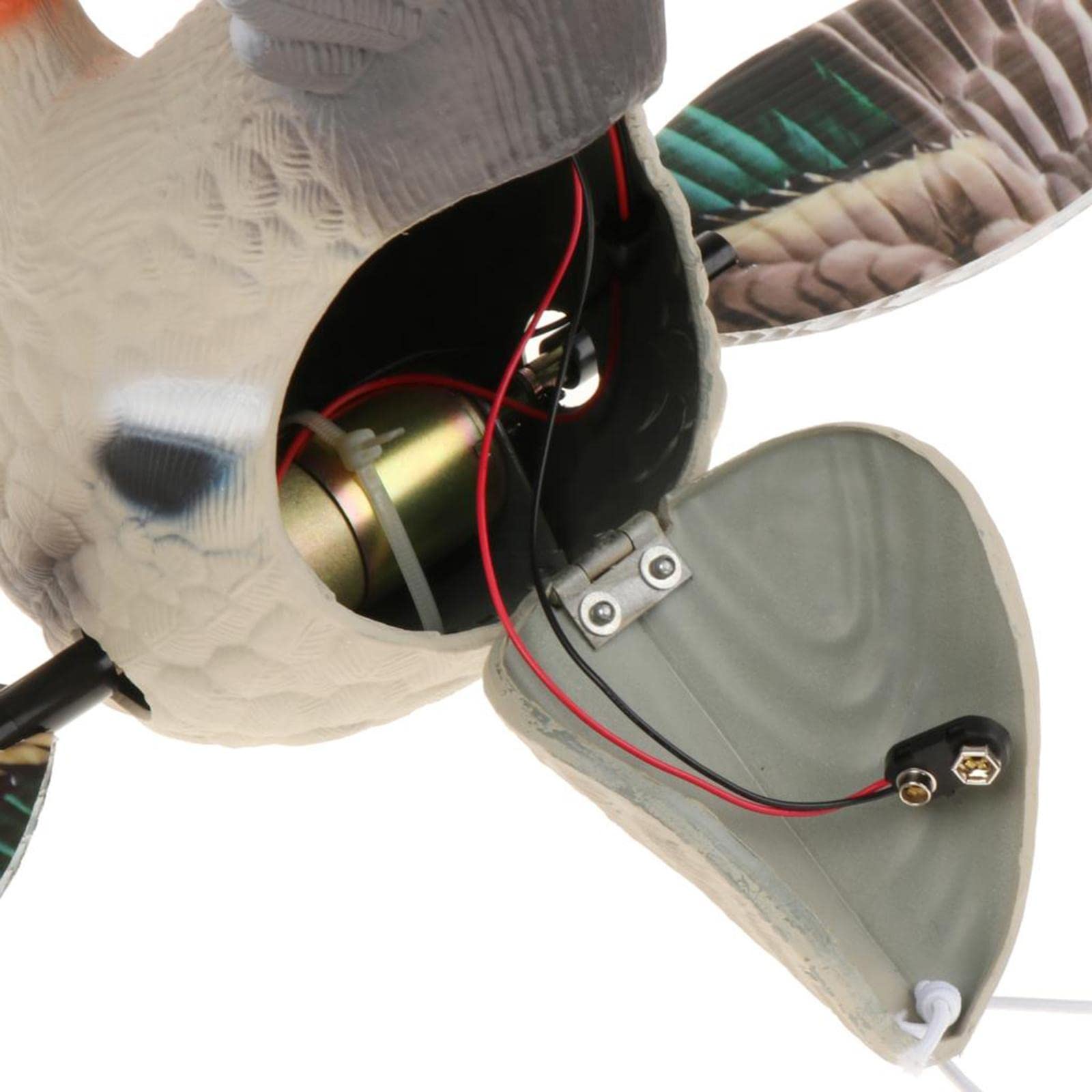 Esca Elettrica per Anatra Mallard con Telecomando