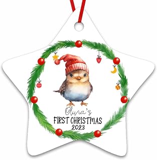 Dinoz My First Christmas Dipper Animal Lover Ornament, Baby Animals New Born Xmas Personalized Name Both Sides Print Ceramic Star Ornament Keepsake Gift Decor