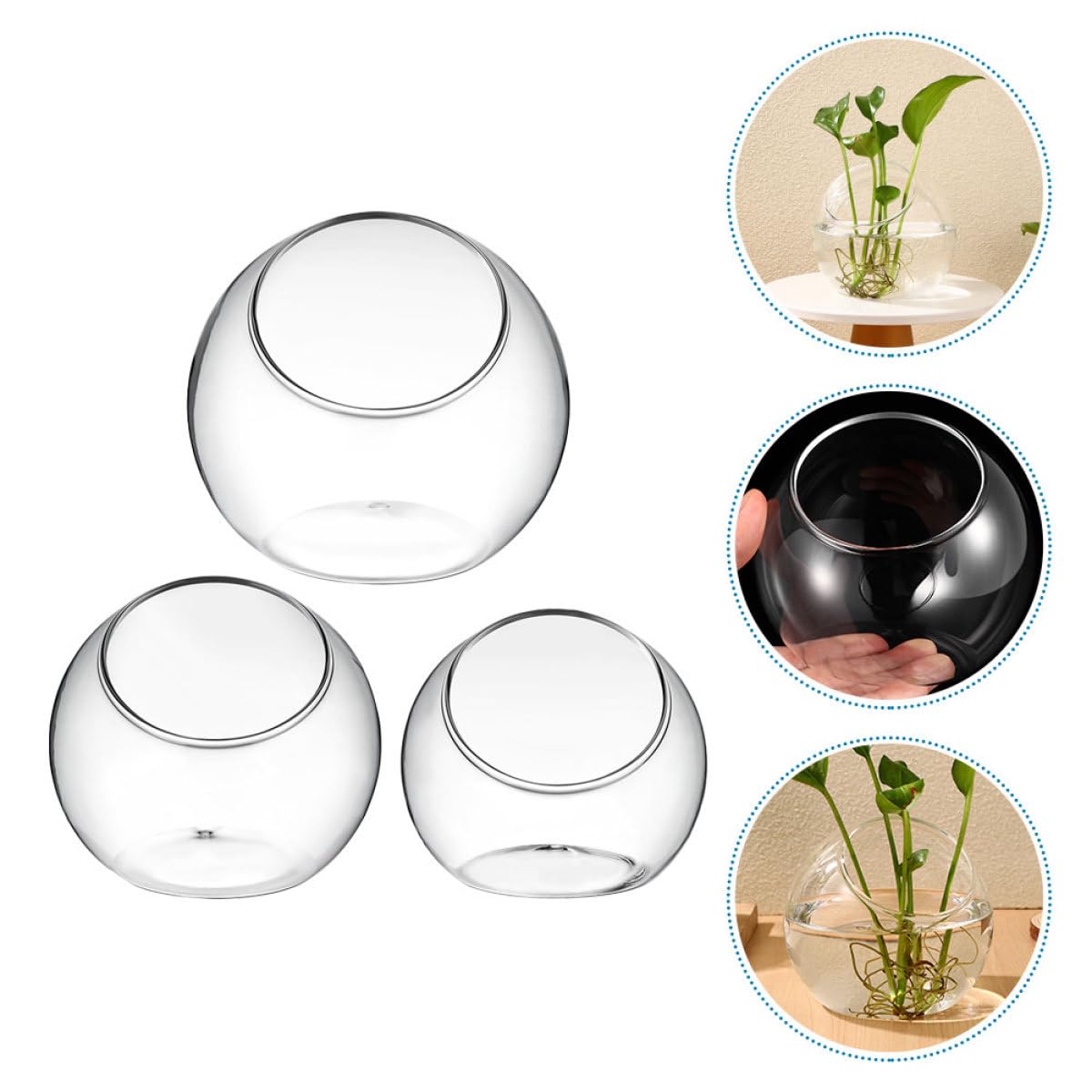 Gatuida Terrario Di Vetro 3 Pezzi Bottiglie Micro Paesaggio Fai Da Te, Contenitori Per Piante Succulente Compatte Per Decorazioni Casa Ufficio Matrimonio
