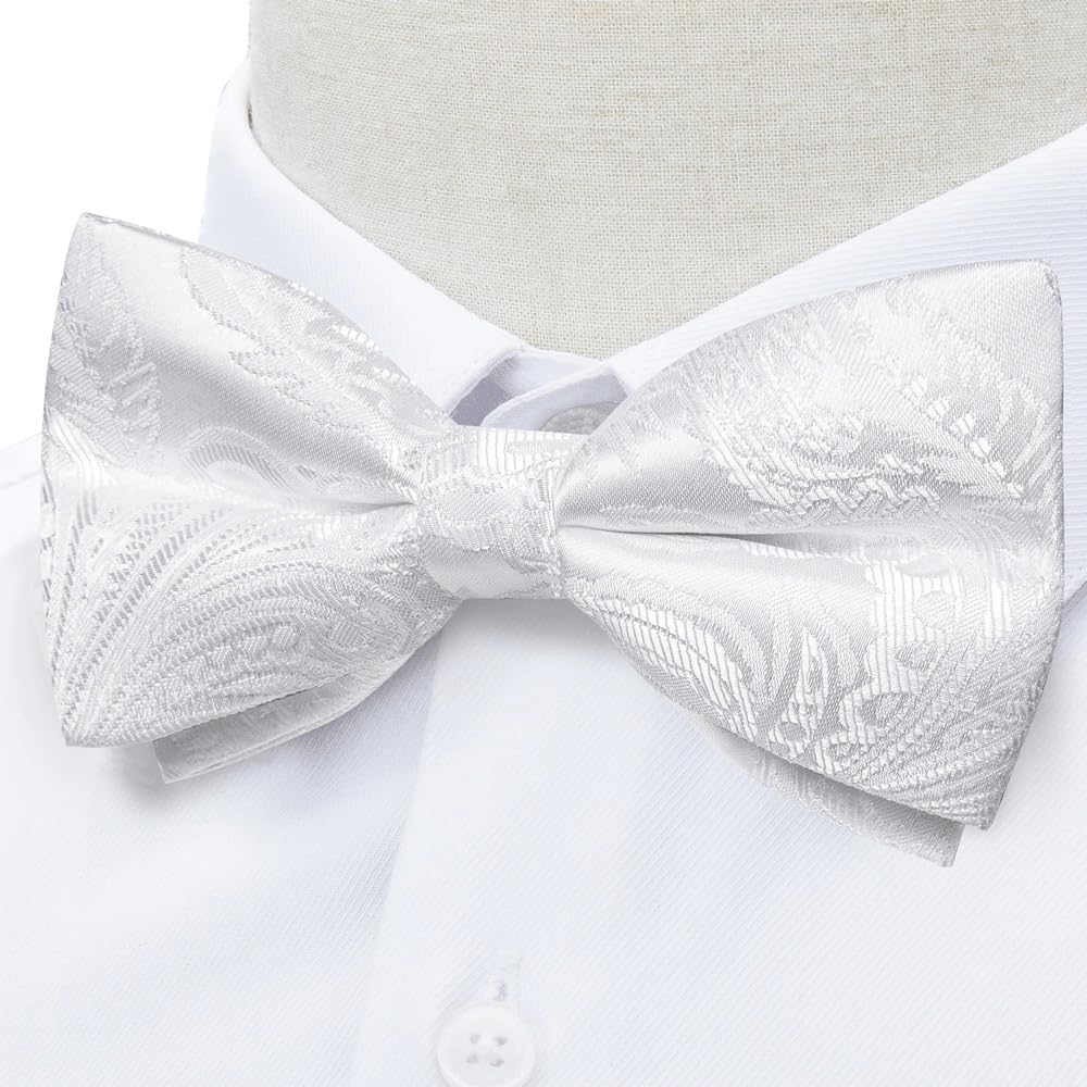 Pajarita con Joya para Boda, para Hombre, con Nudo para Negocios, Juego de pañuelo (Gris Claro)