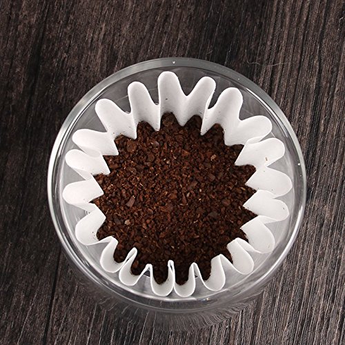 Adolph Double Wall Vacuum Sealed Glass Coffee Maker. Anti-Condensation and Thermo Shock Resistance Server and Coffee Dripper (500ml for 1-4 Cups)