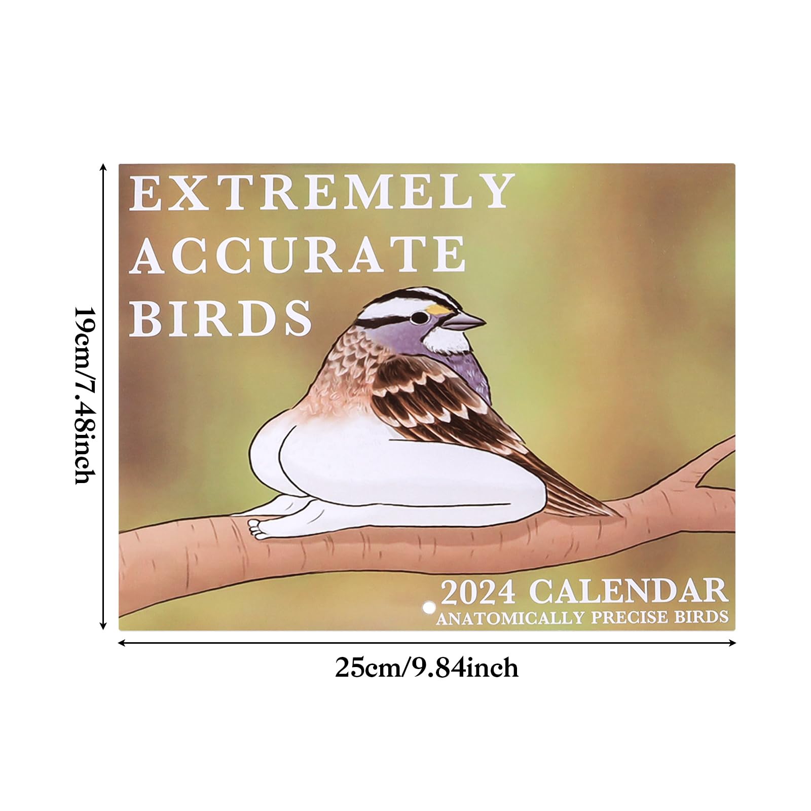 Extremely Accurate Birds Calendar 2024 12 Monthly Birds Calendar Planner  Calendar 2024 Funny Birds Wall Calendar Family Planner & Daily Organiser  2024 Funny Gifts For Friends Bird Lovers : Buy Online at