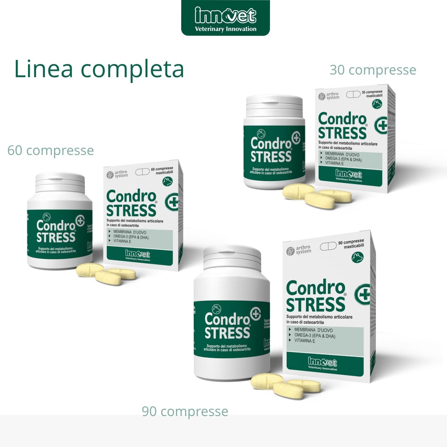 Condrostress +60Cpr Mastic