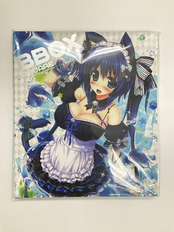 極希少　新品　御敷仁　黒ノ御神籤　レアと一緒にゃんにゃんお出かけバック　バッグ Amazon.co.jp: 黒ノ御神籤 御敷仁 BBOX SQUARE : おもちゃ