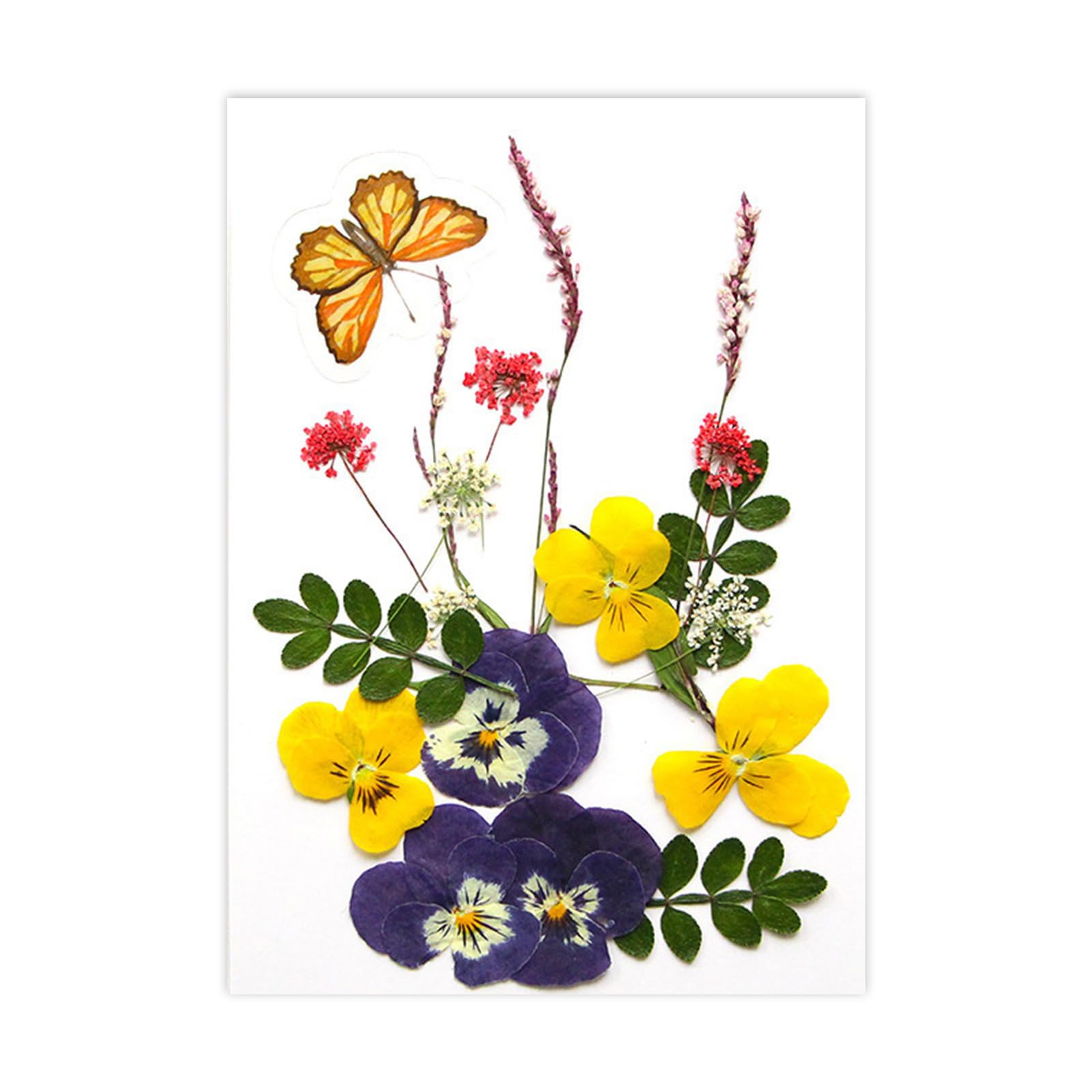 NEWFT Natural Dry Flower Leaves for Scrapbooking Bookmarks Candle Jewelry Making Pressed Natural Dried Flower For Epoxy Resin