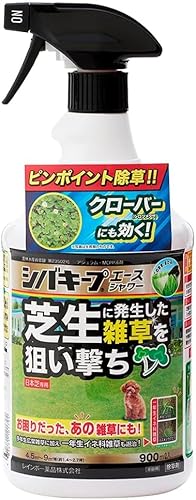 VoL[vG[X Őp 900ml Xv[