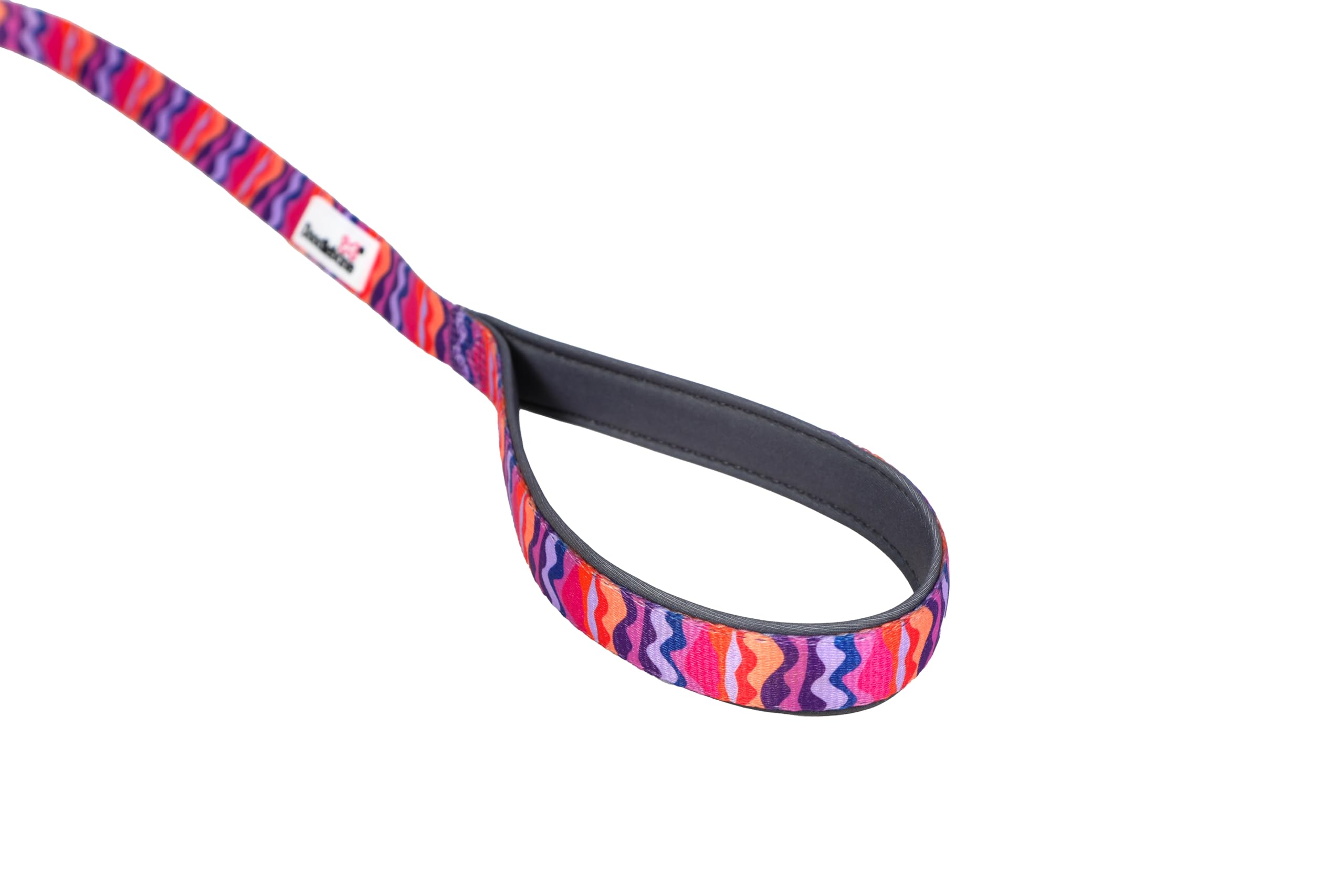 Doodlebone, Padded Dog Lead, Comfortable Dog Leash with Soft Neoprene Padded Handle, Strong Clip, 120cm Length - Image 3