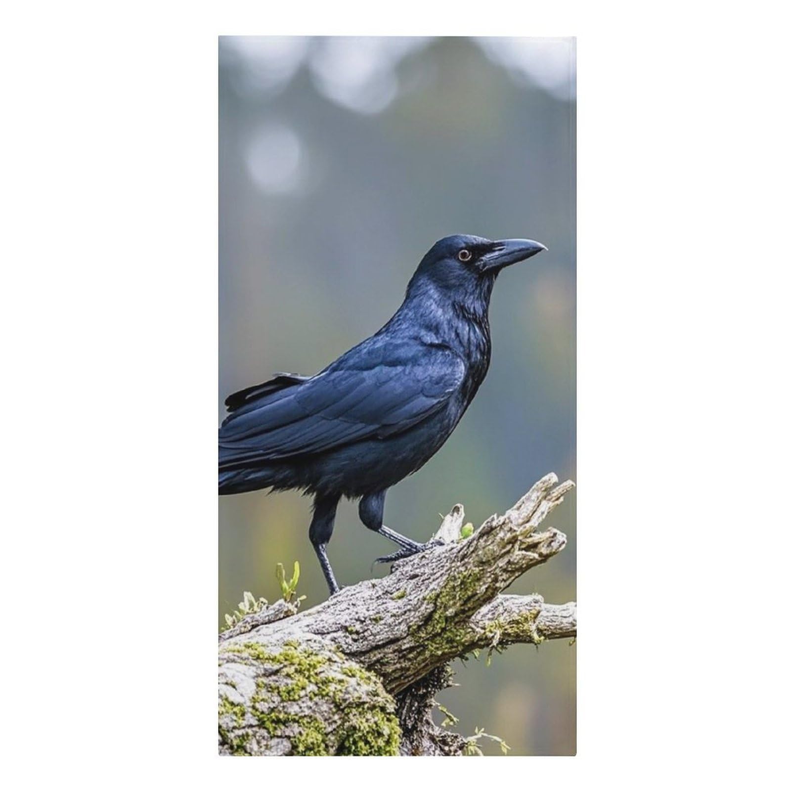 QMNLKH Black Crow Birds Beach Towel for Women, Large Microfiber Pool Towel for Men, Absorbent Swim Towels for Home, Lightweight Bath Towels for Camping, Yoga, 30.3"x61.4"