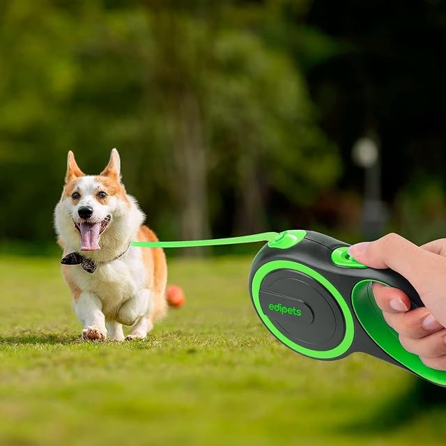 Foto 6 de 6 de Edipets, Correa Perro Extensible, Retráctil, 3, 5 y 8 Metros, Cinta Flexible para Adiestramiento y Paseo