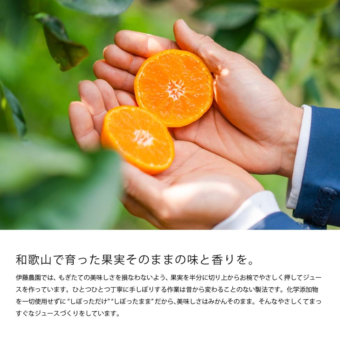 伊藤農園 ギフト 寒天ジュレ150g×15個 みかんゼリー 詰め合わせ オレンジ…