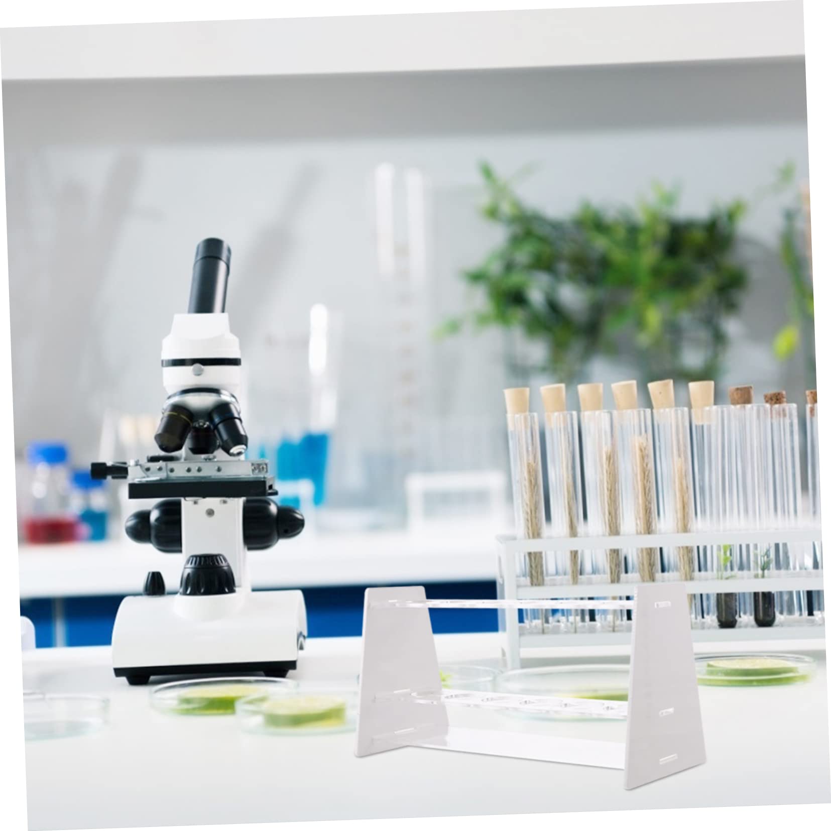 SOLUSTRE 2pezzi Supporto Per Provette Da Laboratorio Con Struttura Leggera e Resistente Adatto Per Uso Professionale e Scolastico Per Stoccaggio e Facilità Uso