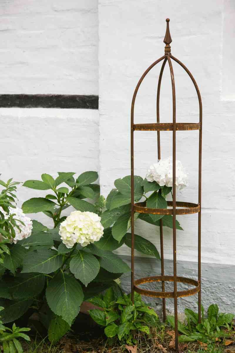 KUHEIGA Rankgerüst 10mm Massiveisen! Obelisk Blumenhilfe Höhe 120cm