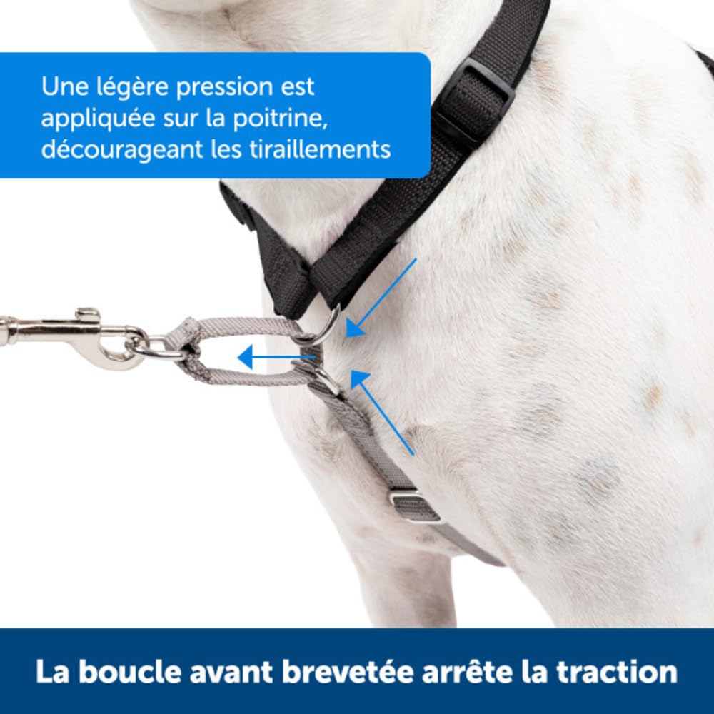 PetSafe Harnais 3-en-1 pour Chien - Ceinture de Sécurité pour Voiture - Anti-Traction – Confortable, Coutures Réfléchissantes – Noir, L