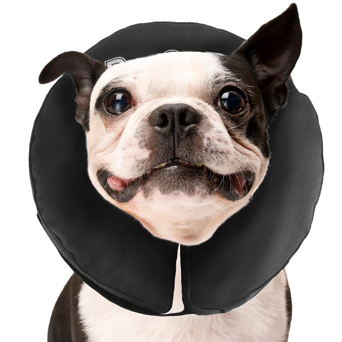 ZenPet Pro Collar Comfy Pet E-Collar For Dogs Medium