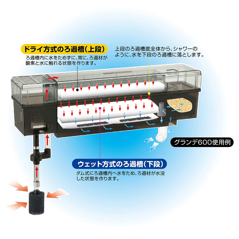 Amazon | ジェックス GEX AQUA FILTER ウェット&ドライろ過槽 -N | GEX