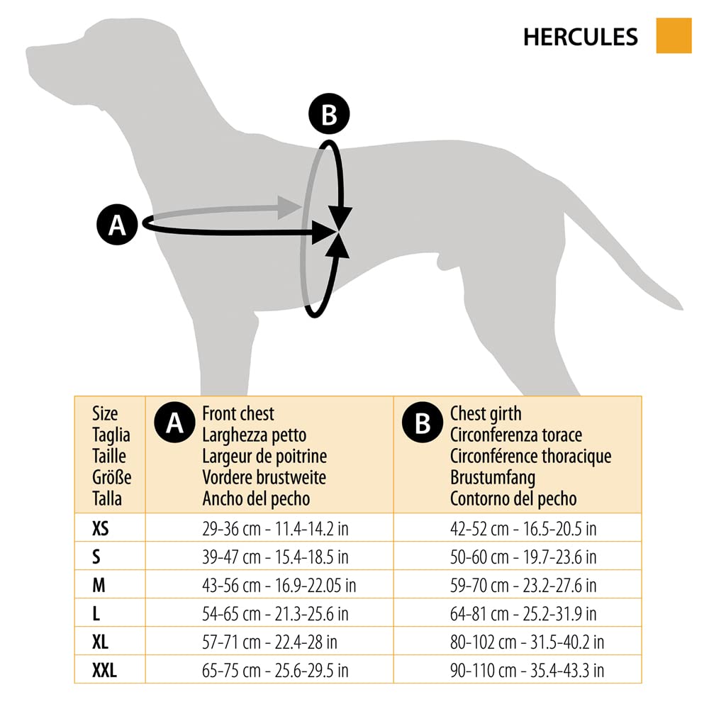 Ferplast Arnés para Perros Hercules XXL, Acolchado, Resistente, Anti-rasguños, Visible en la Oscuridad, con Asa