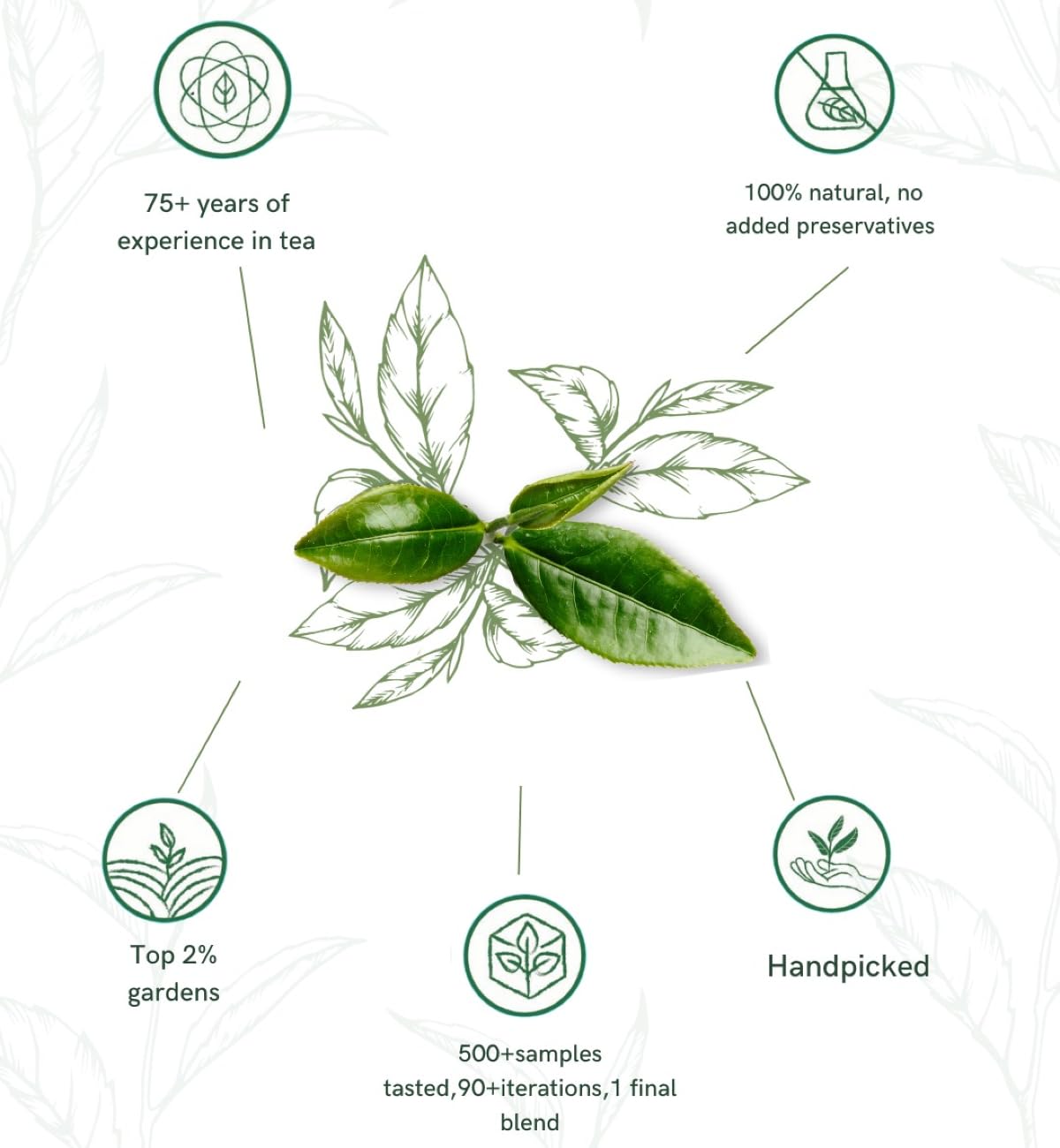1950 Origins Combo Pack of 2 x 150 gm Assam Symphony |100% Natural Loose Leaf Tea|Pure Assam CTC & Orthodox Whole Leaf|Kadak Chai |Strong & Fresh|Tin Caddy | Premium Black Tea 2